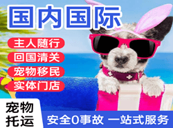 唐山三女河航空空运国际宠物托运 【国